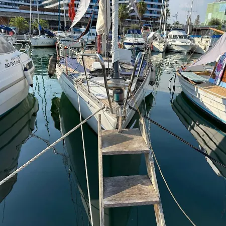 Unique Wooden Sail Yacht + 2 Bikes Included! Tekne